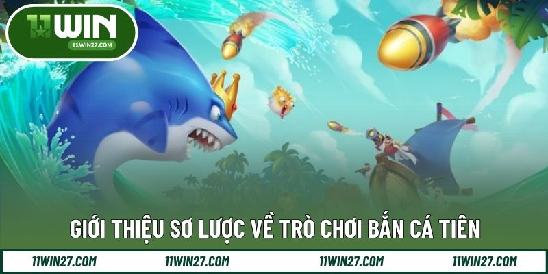 Khái quát cách tiếp cận và vận hành trò chơi bắn cá