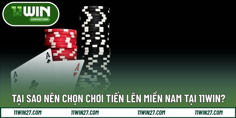 Lý do nhiều thành viên ưu tiên trải nghiệm trên nền tảng