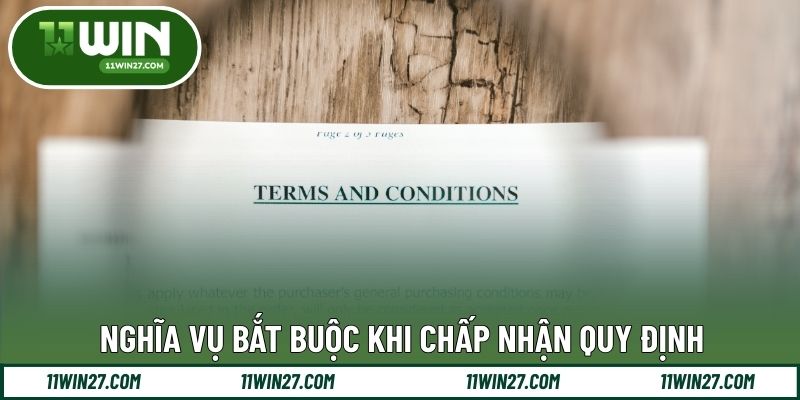 Nghĩa vụ bắt buộc khi chấp nhận quy định